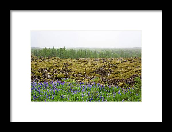  Framed Print featuring the photograph Mystical Island by Matthew Wolf