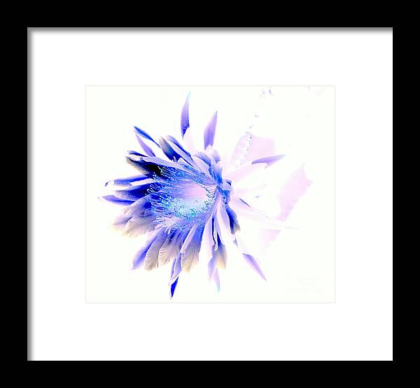 Cactus Framed Print featuring the photograph Mystical Phenomenoms of the Southwest Cactus Orchid by Antonia Citrino