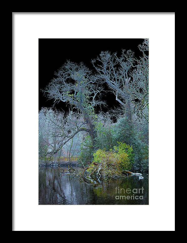 Den Haag Framed Print featuring the photograph Mystical wintertree by Casper Cammeraat