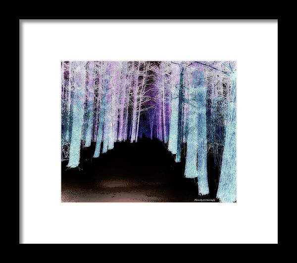 Wall Decor Framed Print featuring the photograph Mythical Forrest by Coke Mattingly