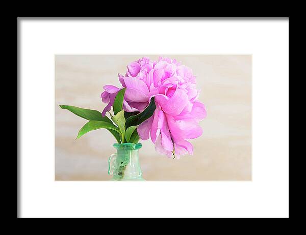Rich Franco Framed Print featuring the photograph Nancy's Peony by Rich Franco