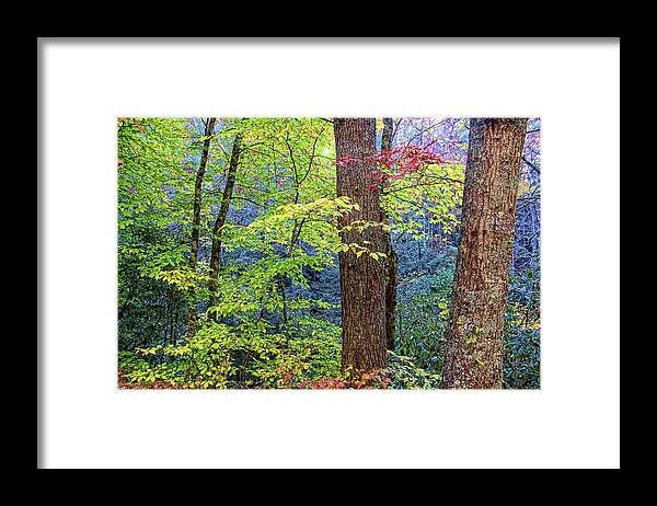 Nantahala National Forest Framed Print featuring the photograph Nantahala by HH Photography of Florida