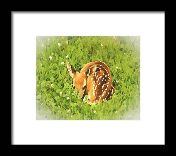 Painting Framed Print featuring the photograph Nap Time by Mark Allen