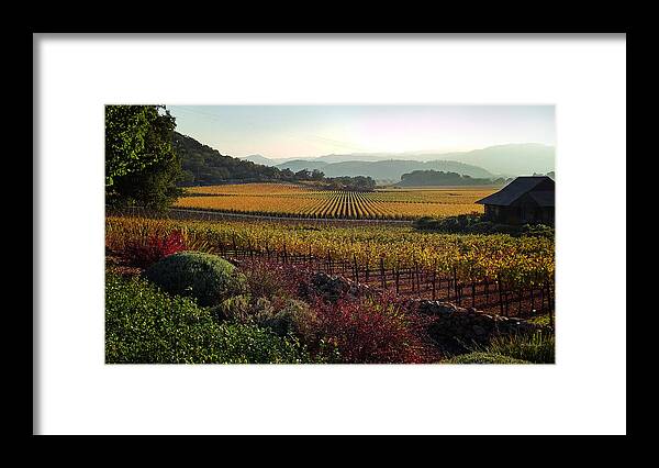Landscape Framed Print featuring the photograph Napa Valley California by Xueling Zou