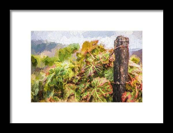 David Letts Framed Print featuring the painting Napa Vineyard by David Letts