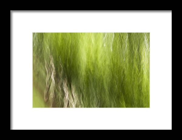 Gaia Framed Print featuring the photograph Nash Square by Margaret Denny