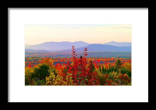 Autumn Framed Print featuring the photograph National Scenic Byway by Mike Breau