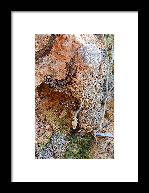 Natural Abstract 15-03 Framed Print featuring the photograph Natural Abstract 15-03 by Maria Urso