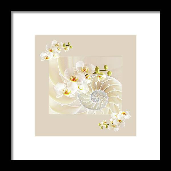 Nautilus Shell Framed Print featuring the photograph Natural Fusion by Gill Billington