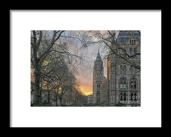 Great Britain Framed Print featuring the photograph Natural History Museum in London by Patricia Hofmeester