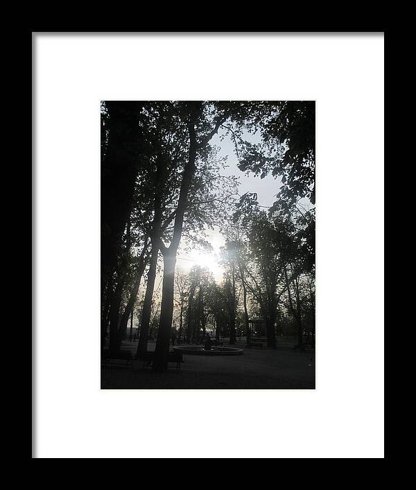 Sun Rays Of Light Framed Print featuring the photograph Natural Illumination by Anamarija Marinovic