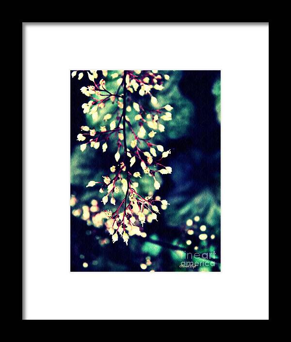 Flower Framed Print featuring the photograph Natural Lace 2 by Sarah Loft