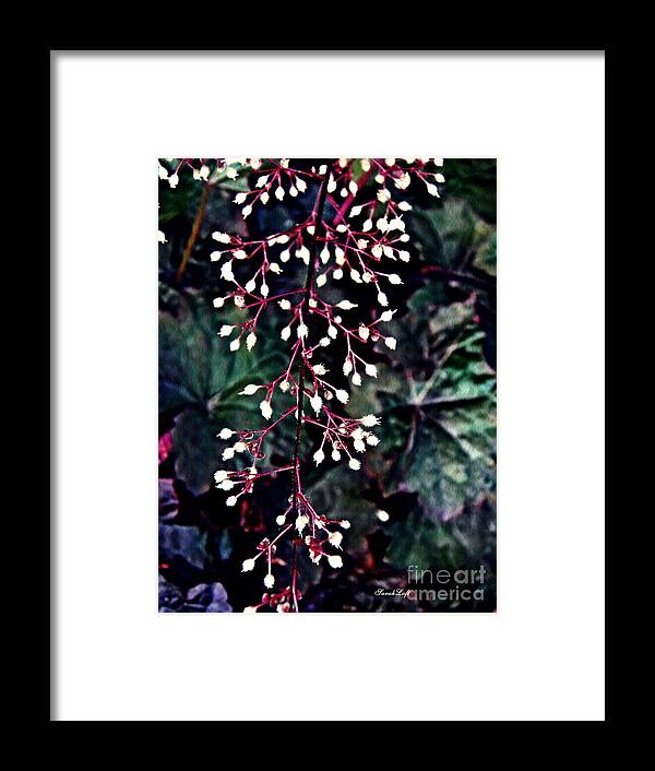Flower Framed Print featuring the photograph Natural Lace by Sarah Loft