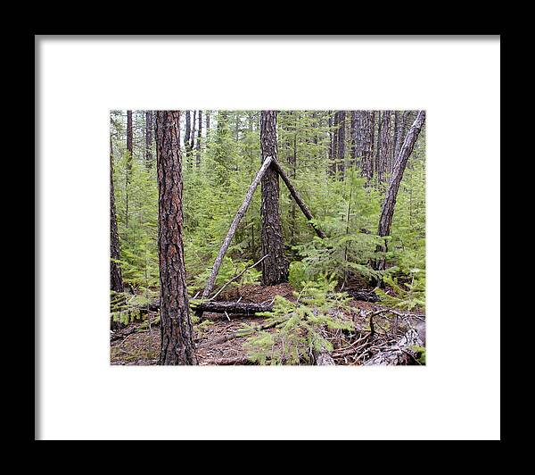 Nature Framed Print featuring the photograph Natural Peace in the Woods by Ben Upham III
