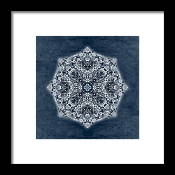 Blue Framed Print featuring the digital art Nature Blueprint by Deborah Smith