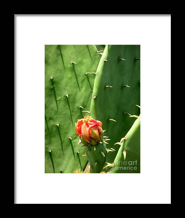 Nature Framed Print featuring the photograph Nature In The Wild - Red Against Green by Lucyna A M Green
