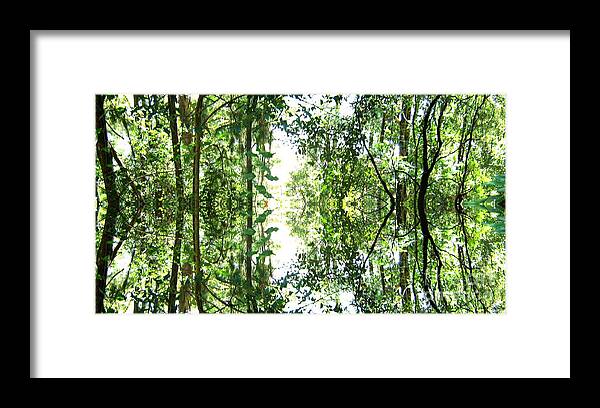 Bushland Framed Print featuring the mixed media Mirrored Green by Leanne Seymour