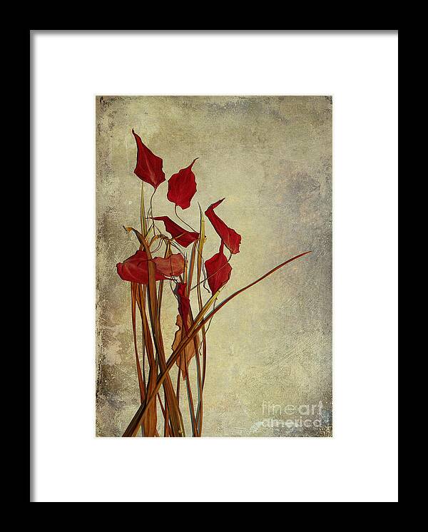 still Life�photography Framed Print featuring the photograph Nature Morte Du Moment by Aimelle Ml