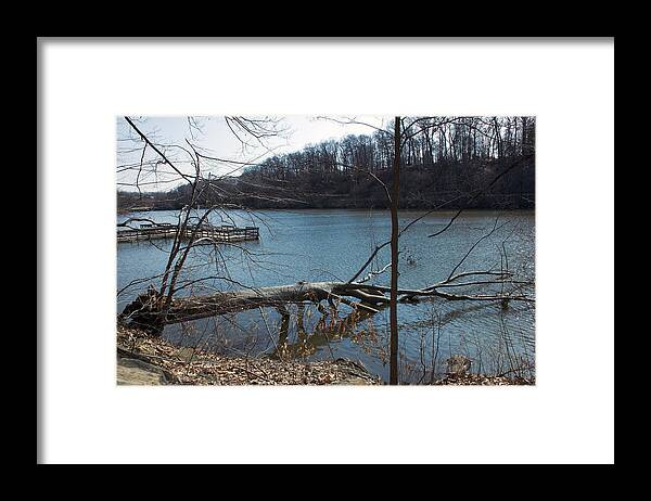 Nature Framed Print featuring the photograph Nature Spirits 1 by Yelena Rubin