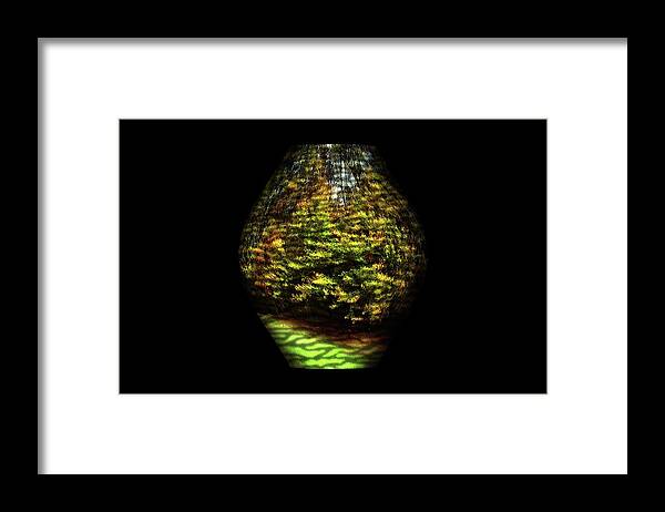 Nature Framed Print featuring the photograph Nature Vase 1 by Angie Tirado