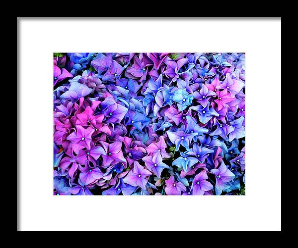 Photography Framed Print featuring the photograph Natures Art II by Paul Wear
