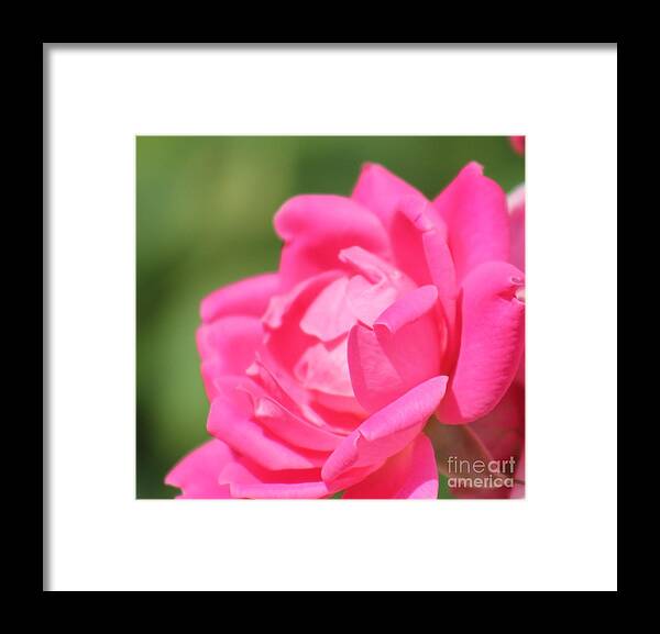 Pink Framed Print featuring the photograph Nature's Beauty 3 by Deena Withycombe