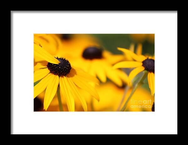Yellow Framed Print featuring the photograph Nature's Beauty 50 by Deena Withycombe