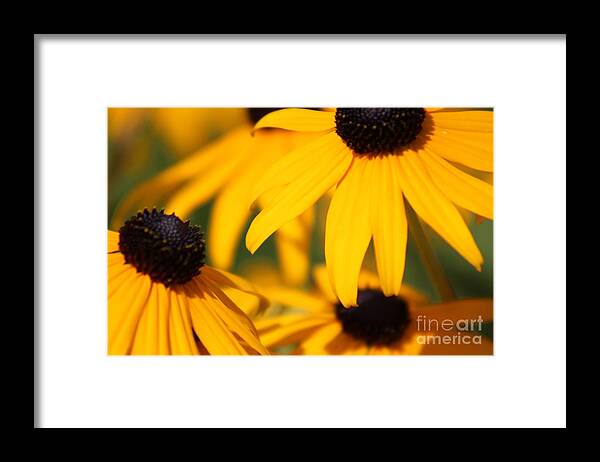 Yellow Framed Print featuring the photograph Nature's Beauty 52 by Deena Withycombe