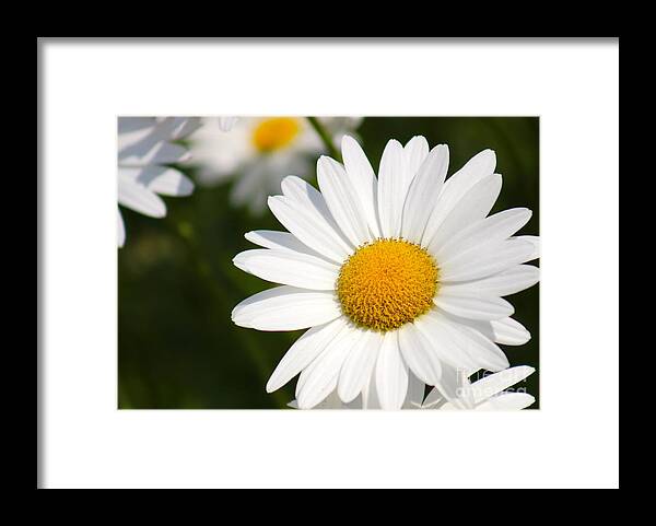 Yellow Framed Print featuring the photograph Nature's Beauty 54 by Deena Withycombe