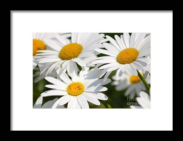 Yellow Framed Print featuring the photograph Nature's Beauty 55 by Deena Withycombe