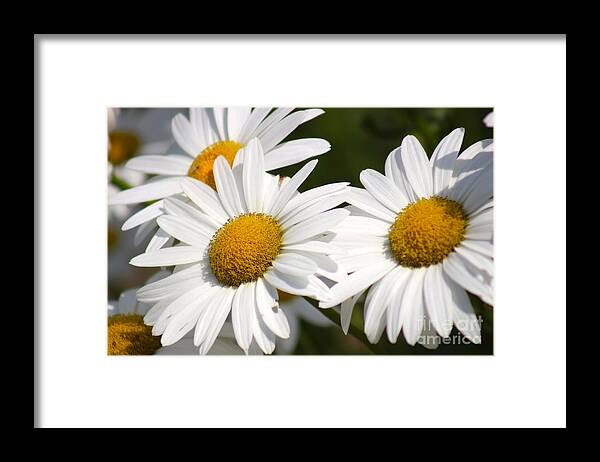 Yellow Framed Print featuring the photograph Nature's Beauty 59 by Deena Withycombe