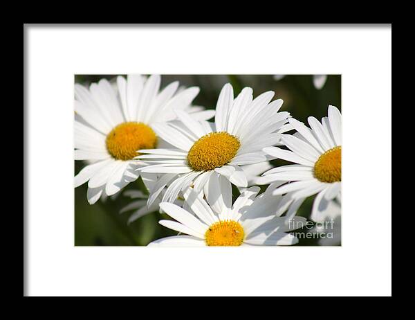 Yellow Framed Print featuring the photograph Nature's Beauty 60 by Deena Withycombe