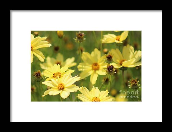 Yellow Framed Print featuring the photograph Nature's Beauty 61 by Deena Withycombe