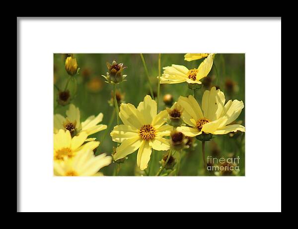 Yellow Framed Print featuring the photograph Nature's Beauty 64 by Deena Withycombe