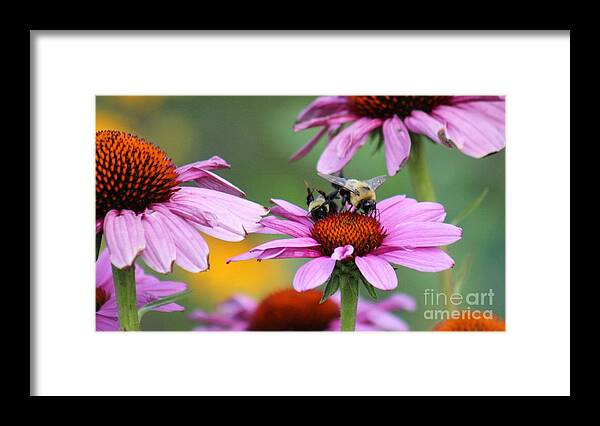 Pink Framed Print featuring the photograph Nature's Beauty 65 by Deena Withycombe