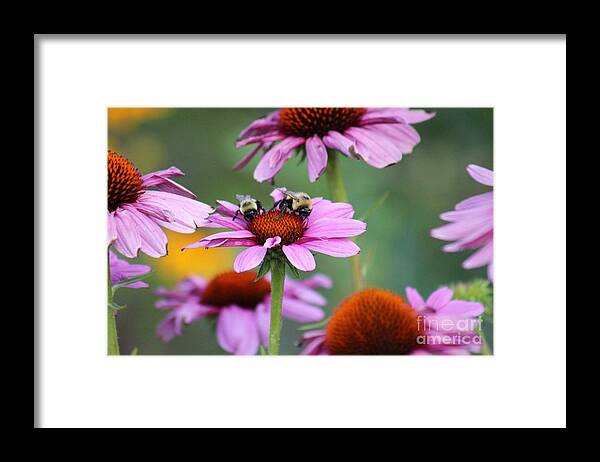 Pink Framed Print featuring the photograph Nature's Beauty 66 by Deena Withycombe