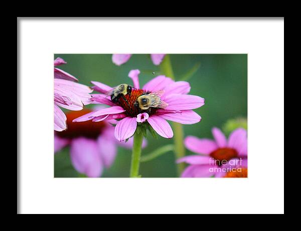 Pink Framed Print featuring the photograph Nature's Beauty 69 by Deena Withycombe