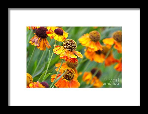 Orange Framed Print featuring the photograph Nature's Beauty 87 by Deena Withycombe