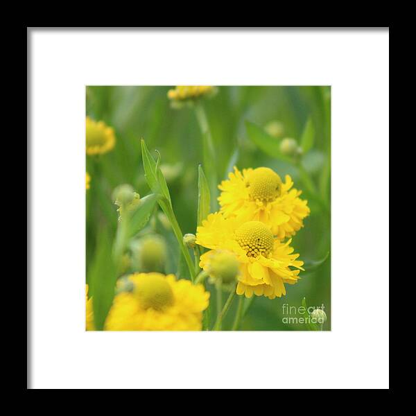 Yellow Framed Print featuring the photograph Nature's Beauty 93 by Deena Withycombe