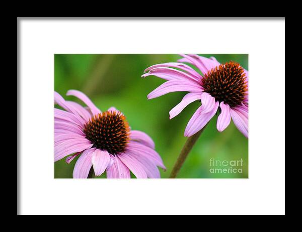 Pink Framed Print featuring the photograph Nature's Beauty 95 by Deena Withycombe