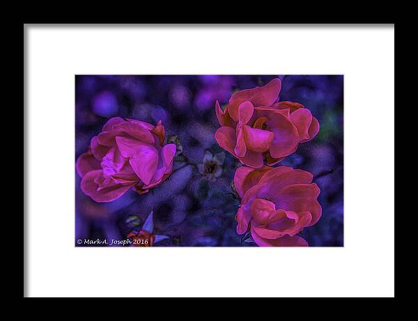 Flowers Framed Print featuring the photograph Natures Beauty by Mark Joseph