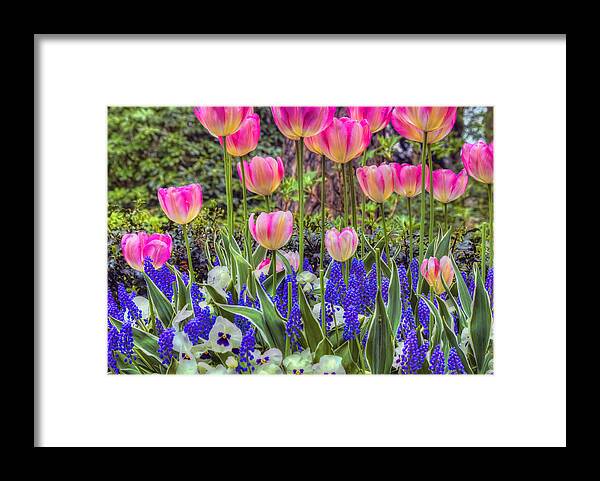 Holland Framed Print featuring the photograph Nature's Colors by Nadia Sanowar