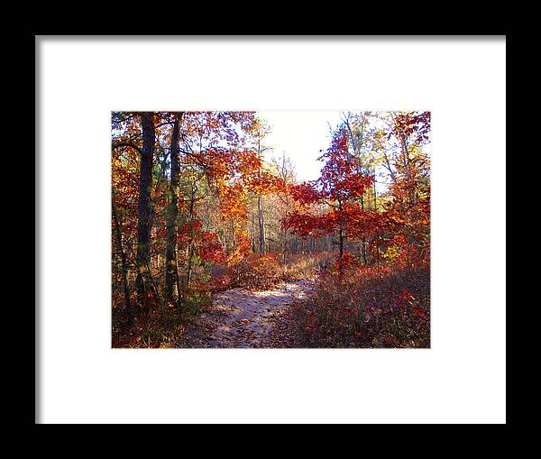 Nature Framed Print featuring the photograph Nature's Expression-17 by Leonard Holland