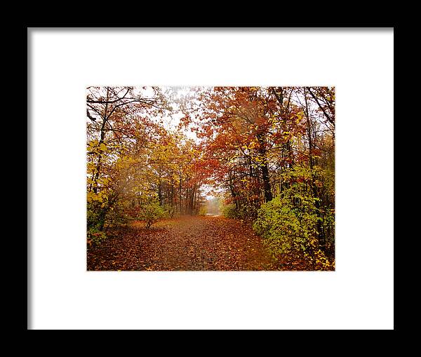 Autumn Landscape Framed Print featuring the photograph Nature's Expression-8 by Leonard Holland