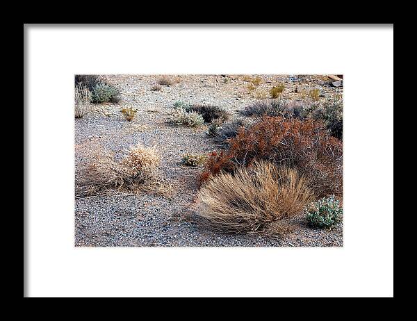 Sage Brush Framed Print featuring the photograph Natures Garden - Utah by DArcy Evans