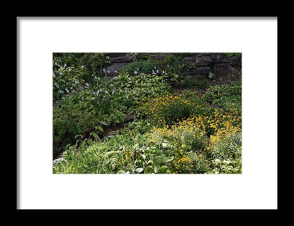 Foliage Framed Print featuring the photograph Natures Garden by Deborah Crew-Johnson