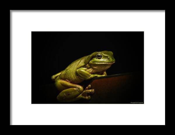 Nature Photography Framed Print featuring the photograph Natures green 01 by Kevin Chippindall