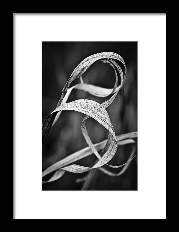 Abstract Framed Print featuring the photograph Natures Knot by Monte Stevens