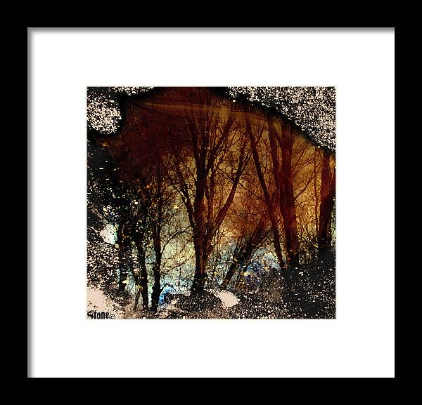 Trees Framed Print featuring the photograph Natures Looking Glass 3 by September Stone