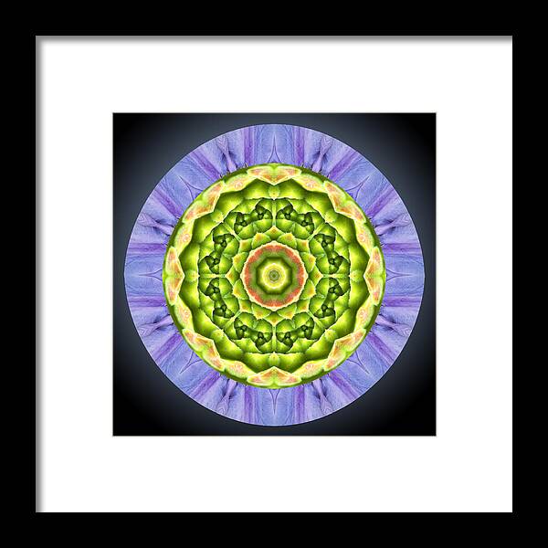 Mandala Framed Print featuring the photograph Nature's Mix #1 by Hazy Apple